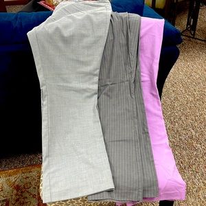 3 pair of dress pants, boot cut